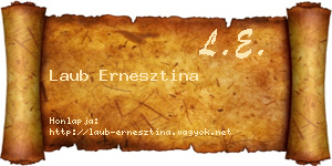 Laub Ernesztina névjegykártya